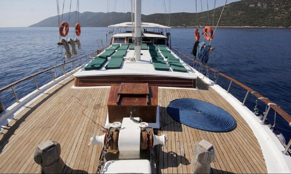 blue marlin yacht charter